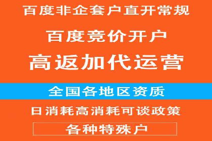 探索百度竞价推广的奥秘：一家知名企业的成功之路
